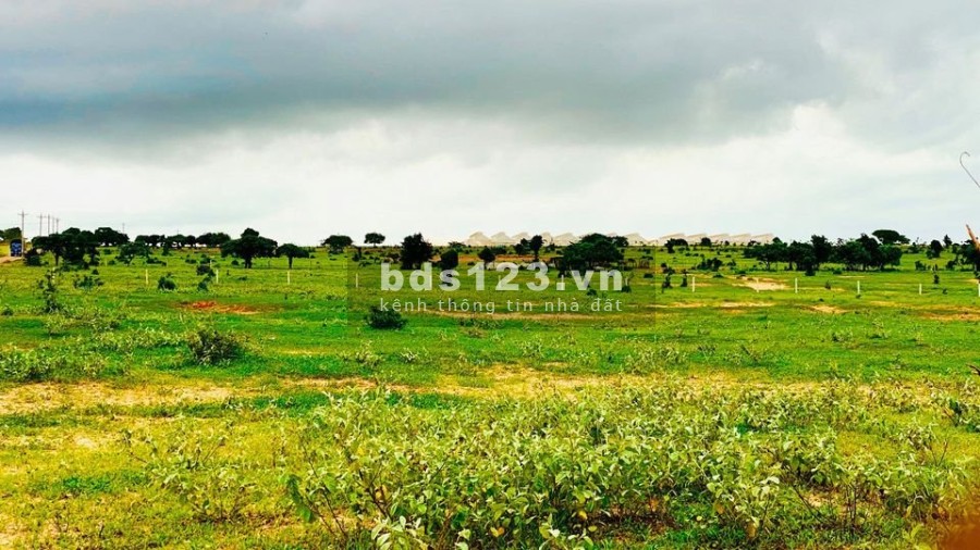 Bán lô đất gần Quốc lộ 1A, mặt tiền dài 67m, sổ đỏ tại Phan Thanh giá bán chỉ 671 triệu