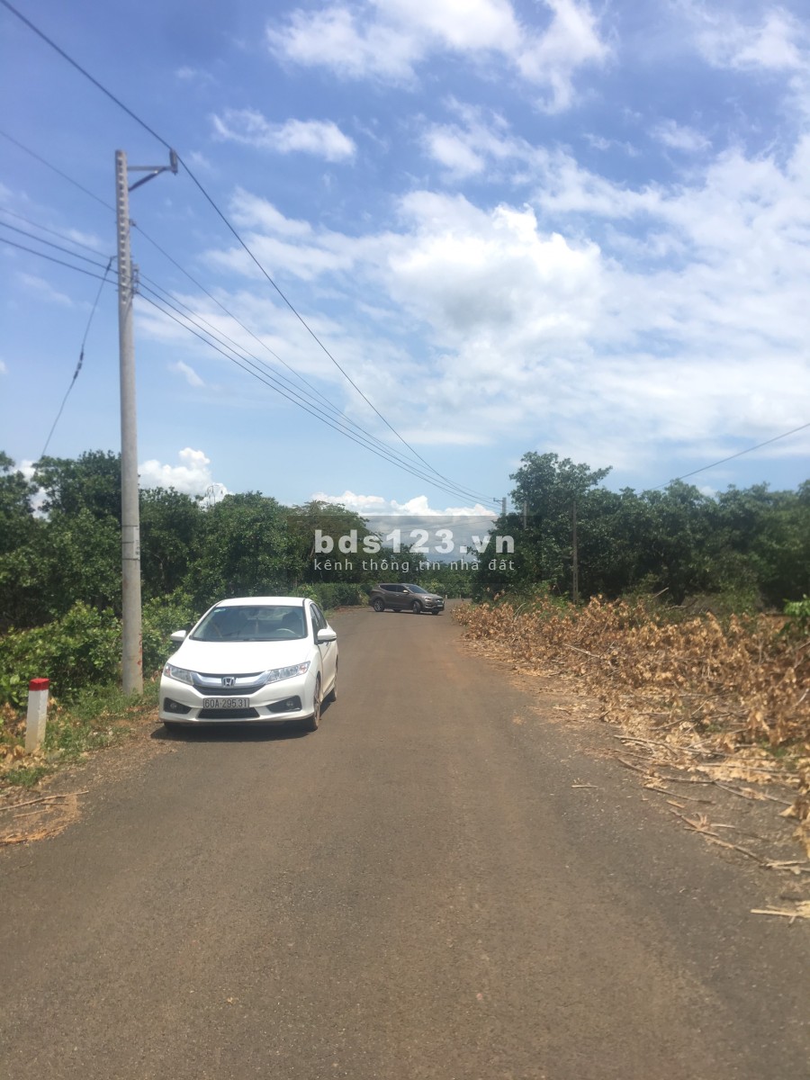 Chính chủ nhờ ra lô đất vườn gần chợ ở Đồng Phú sổ sẵn công chứng nhanh gọn, bàn giao ngay