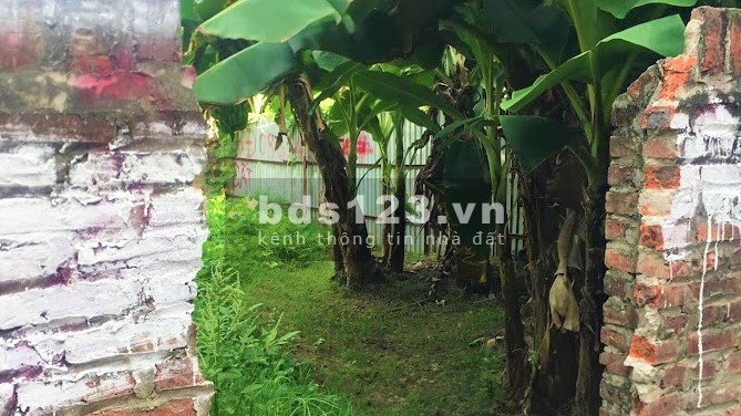 Bán đất sóc sơn gần Quốc Lộ 3 tài chính chưa đến 500 triệu, có sổ mới sẵn sàng giao dịch. DT 60.7M2