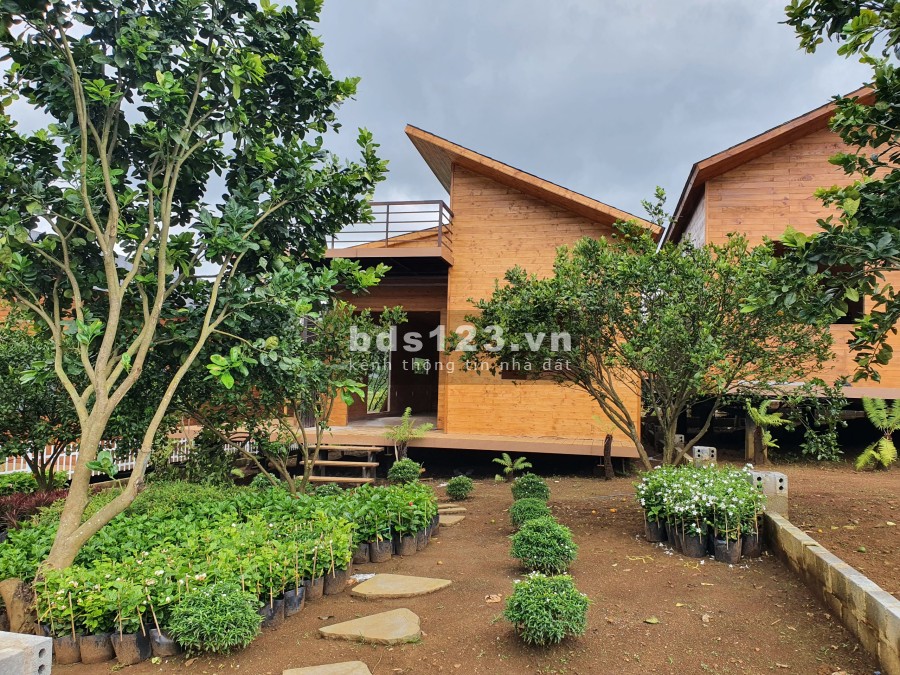 Bán nhà nghỉ dưỡng Bảo Lộc diện tích sử dụng 14x25m. full thổ cư sổ hồng riêng, giá tốt