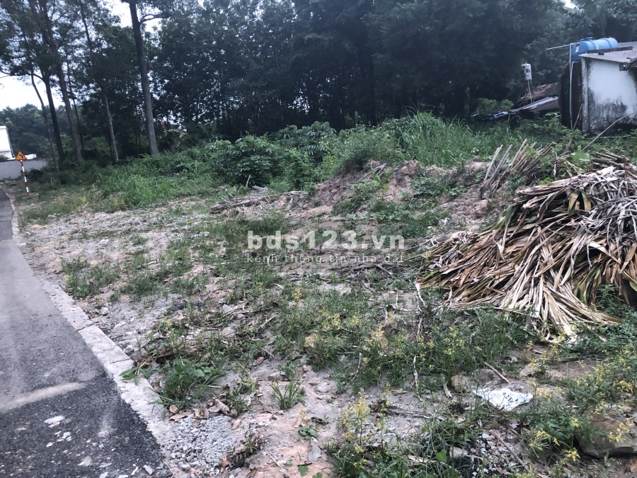 Ra gấp lô đất rộng 1011m2 đất sau vườn nhà giá 560 triệu tiện ích đầy đủ, giá tốt tiện kinh doanh