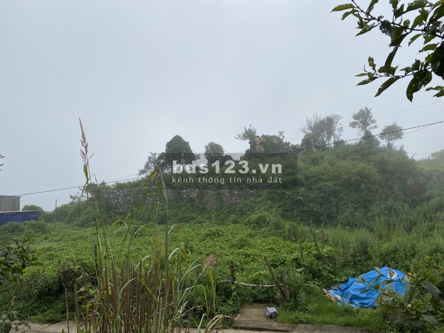 Bán mảnh đất Sapa vị trí đẹp thích hợp đầu tư giá cắt lỗ pháp lý chính chủ bàn giao ngay