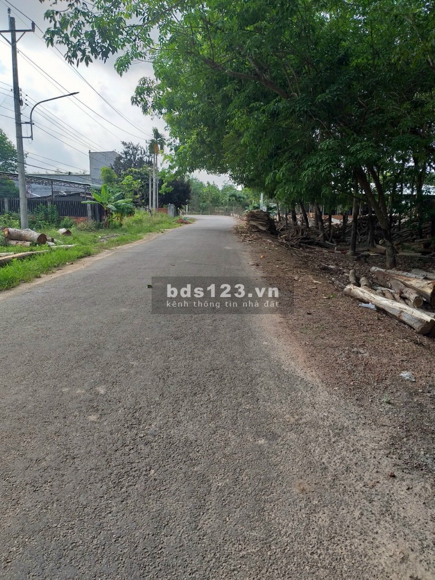Chính chủ bán gấp diện tích 1190m2 đất mặt tiền đường giá 450 triệu, khu dân cư sống đông