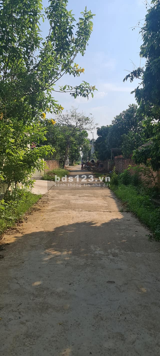 Chính chủ cần bán đất diện tích 566m2 Sóc Sơn, Hà Nội giá rẻ nhất thị trường giá bán 5.1 tỷ