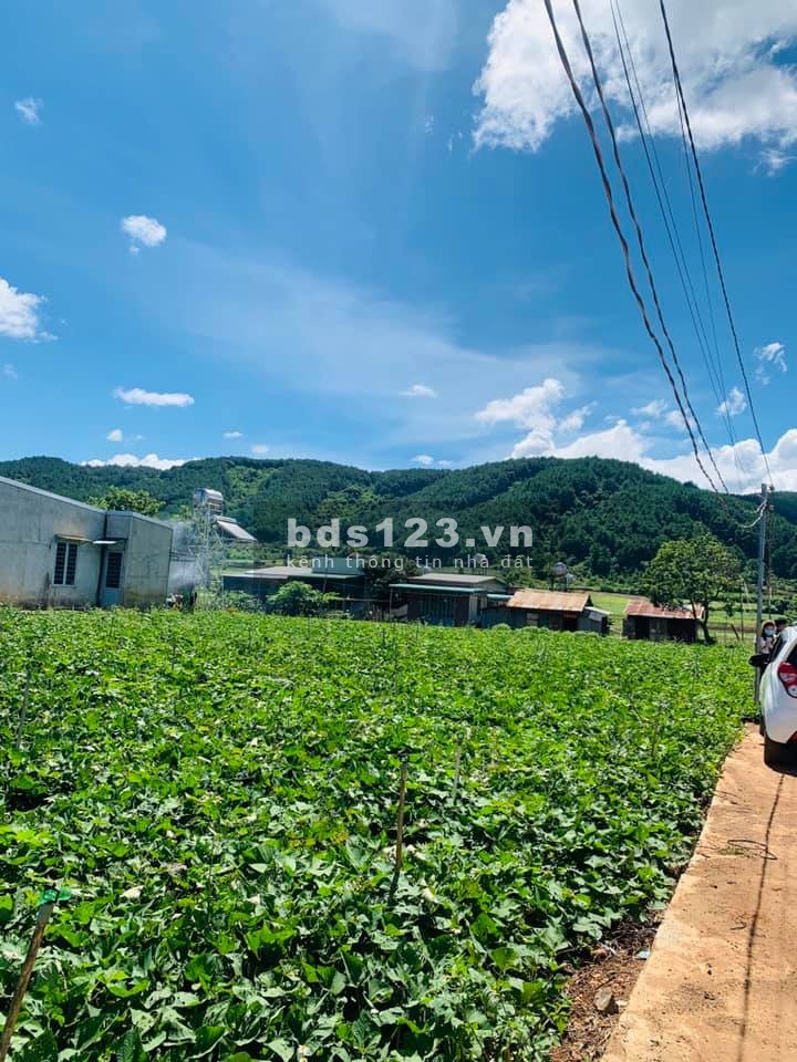 Bán 560m2 lô đất đẹp Mê Linh, giá bán 670 triệu, đường ô tô 4m, view đồi giá tốt đầu tư