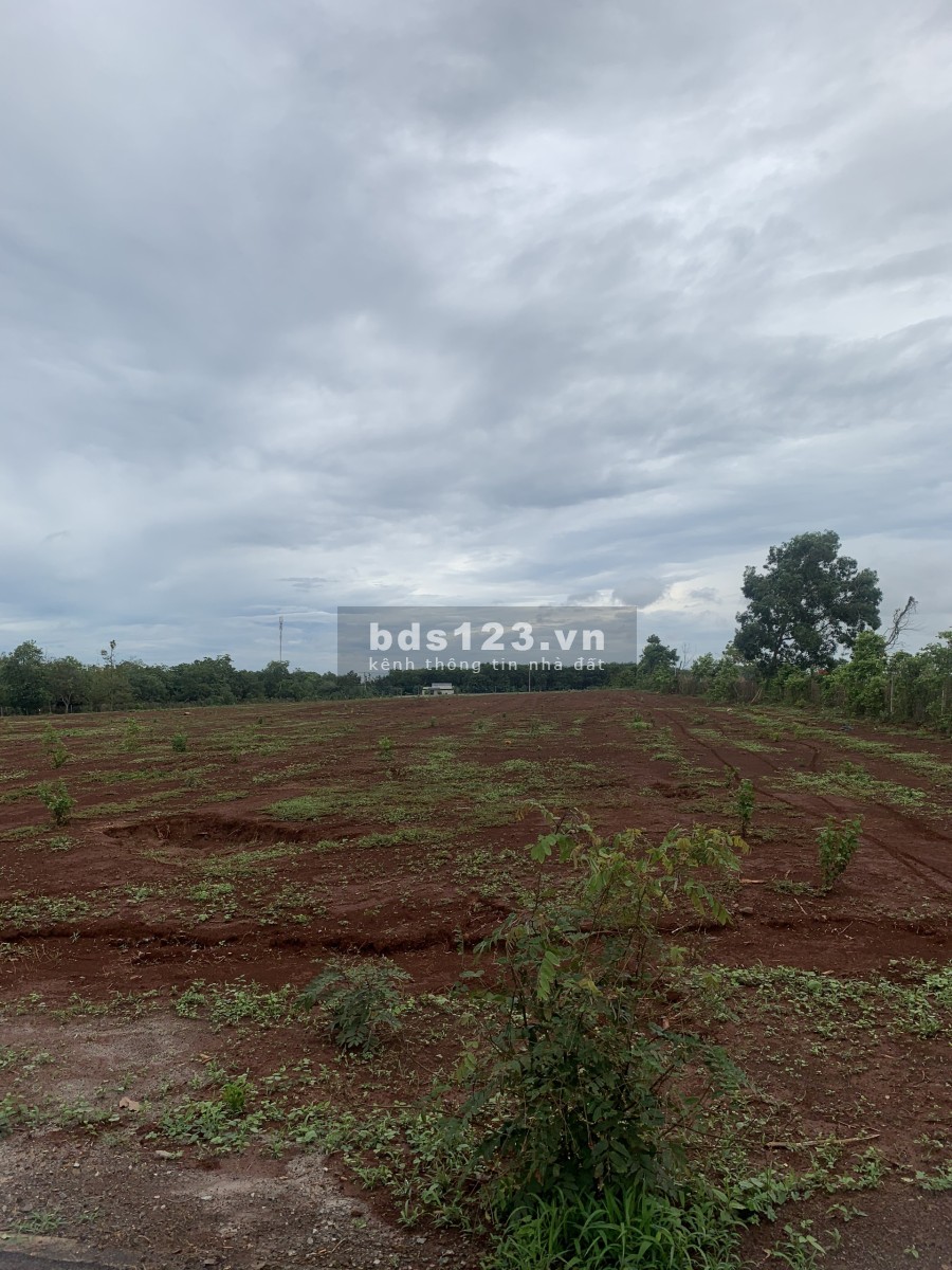 Đất nền dự án liền kề khu công nghiệp Đất Đỏ 1, đa dạng diện tích từ 100m2, pháp lý đầy đủ