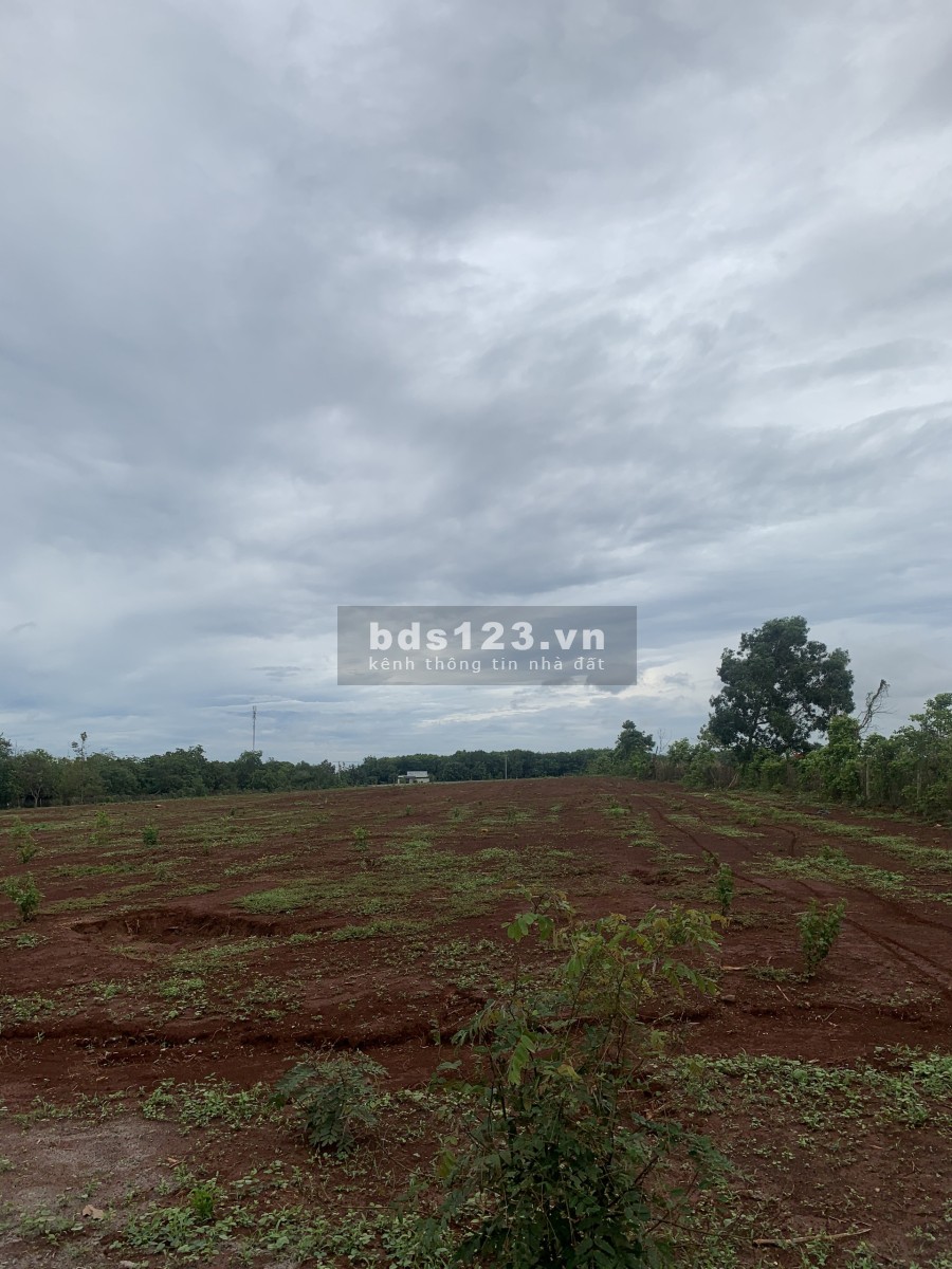 Đất nền dự án liền kề khu công nghiệp Đất Đỏ 1, đa dạng diện tích từ 100m2, pháp lý đầy đủ