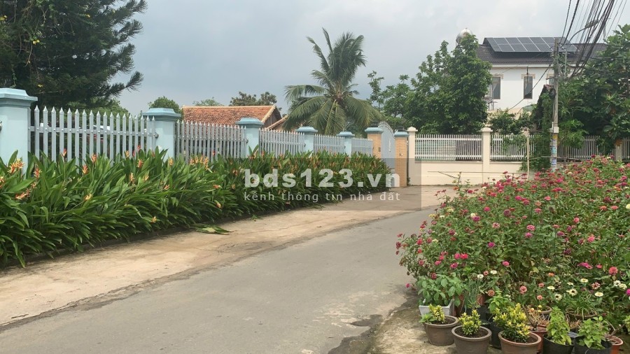 Đất vườn An Nhơn Tây Củ Chi 841m2 giá rẻ nhất 1ty395, SHR công chứng ngay