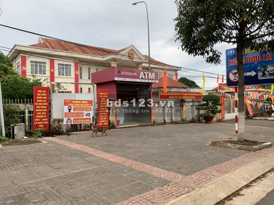 Đất nền dự án liền kề khu công nghiệp Đất Đỏ 1, đa dạng diện tích từ 100m2, pháp lý đầy đủ