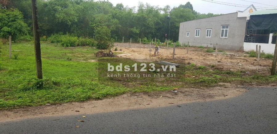Chính chủ bán gấp diện tích 1190m2 đất mặt tiền đường giá 450 triệu, khu dân cư sống đông