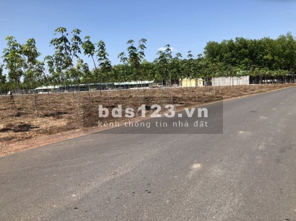 Thanh lí gấp sào đất mặt tiền giá rẻ ở Thuận Phú, Bình Phước liên hệ 0936556009