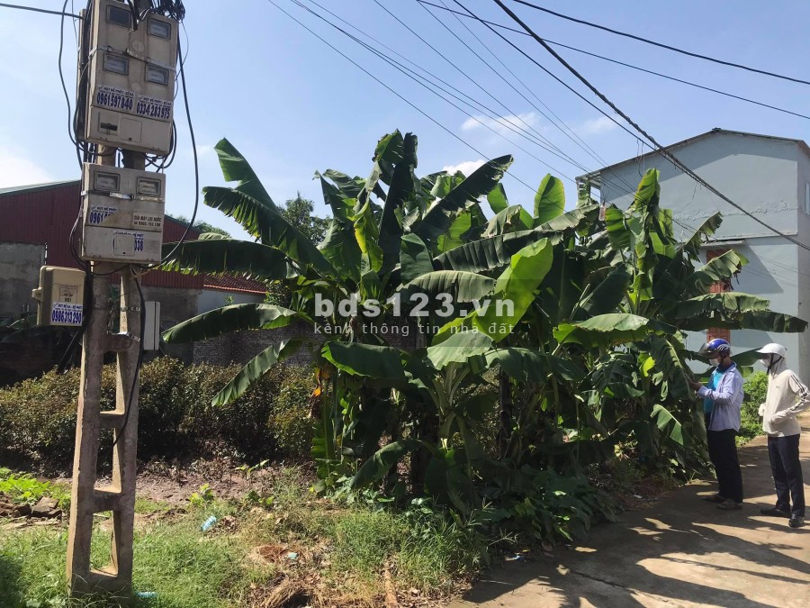 Gia đình cần bán Lô Đất tại thôn Nghĩa Trai, xã Tân Quang tiềm năng đầu tư sinh lời cao