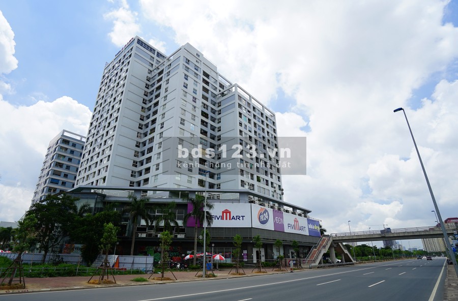 Cực Hiếm nhà bán, cạnh Lotte (Võ Chí Công), căn hộ CC Vườn Đào, 4,5 tỷ, 128 m2
