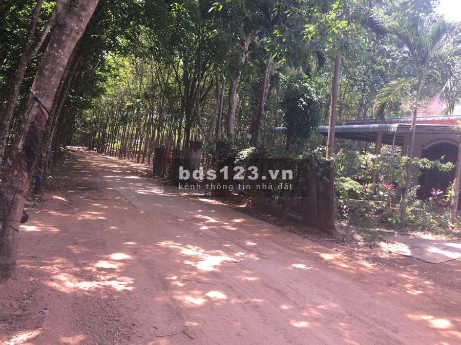 Đất vườn diện tích sử dụng 1090m² cần bán gấp giá 490 triệu sổ riêng sổ đỏ chính chủ