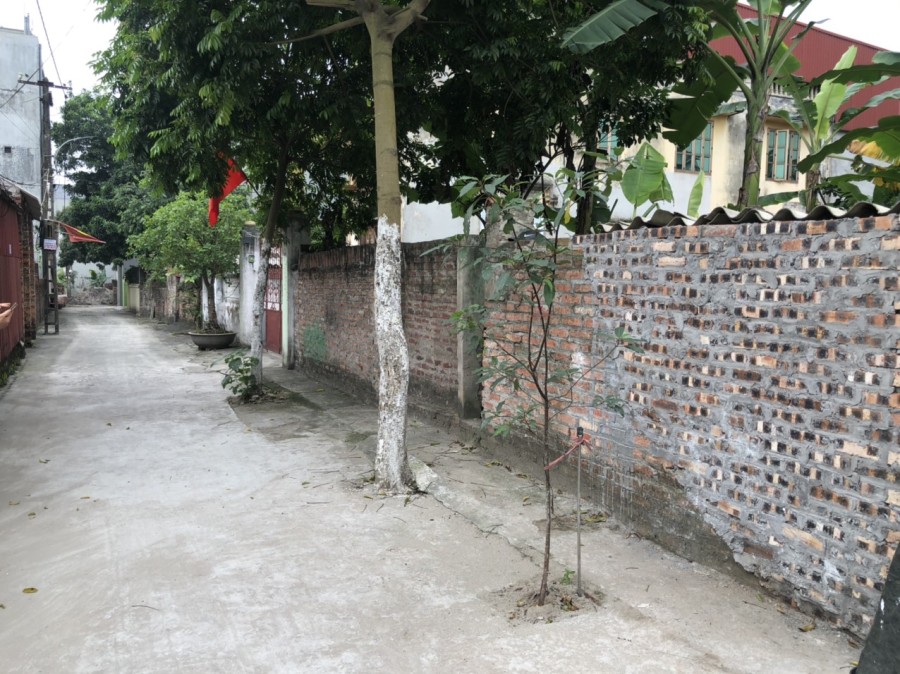 Bán đất vỏ làng Mỹ Nội, Bắc Hồng diện tích sử dụng 168m2 ô tô đỗ cửa giá chỉ 2x, lhcc