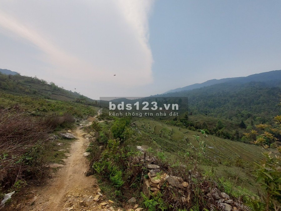 Đất hơn 2000m2 thôn Mò Phú Chải - View rừng già - cực thích hợp làm Homestay