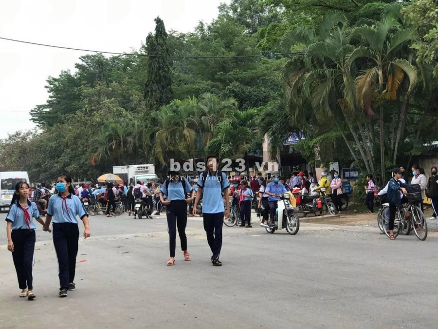Bán nhanh mùa dịch lô đất sổ hồng riêng, dt 7x24m, đường Hoàng Phan Thái, Bình Chánh giá 1 tỷ 520tr