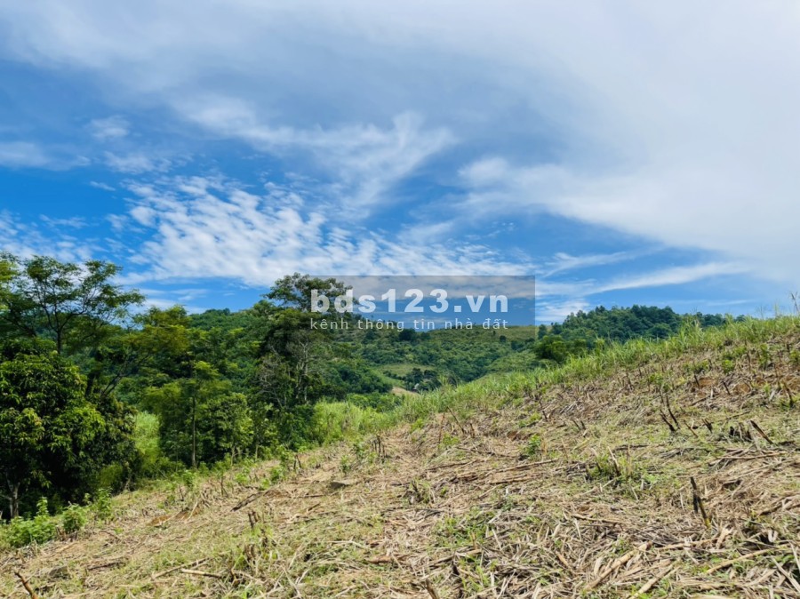 Siêu phẩm 1.3ha cạnh hồ Cạn Thượng giá rẻ mùa covid vị trí đắc địa, khu dân cư đông đúc