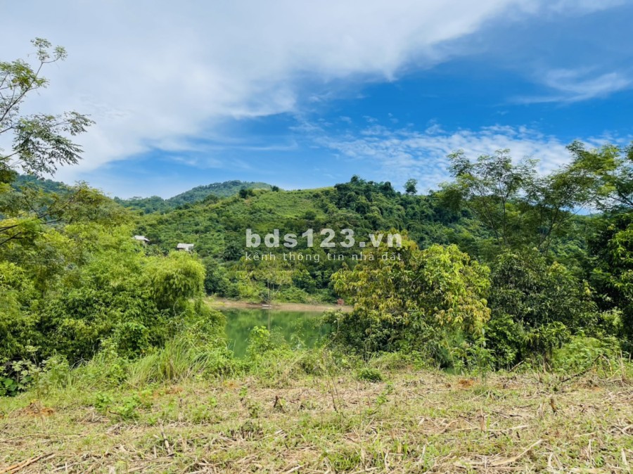Siêu phẩm 1.3ha cạnh hồ Cạn Thượng giá rẻ mùa covid vị trí đắc địa, khu dân cư đông đúc