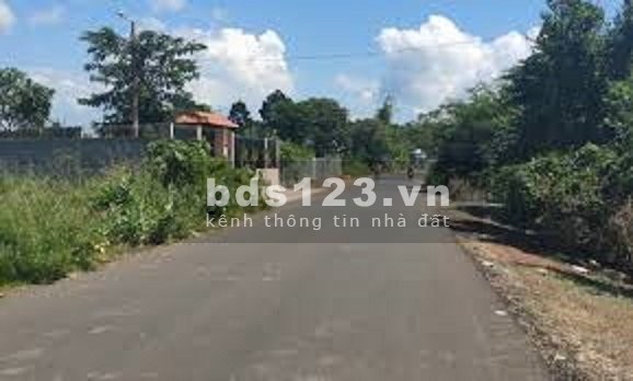 Cần tiền bán gấp 1 sào đất gần khu công nghiệp Becamex giá 470 trệu đất có sổ hồng riêng