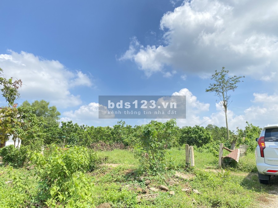 Còn Lô đất Vàng 1100m2 (100 thổ) điểm xuống CAO TỐC, Phước Bình-Long Thành