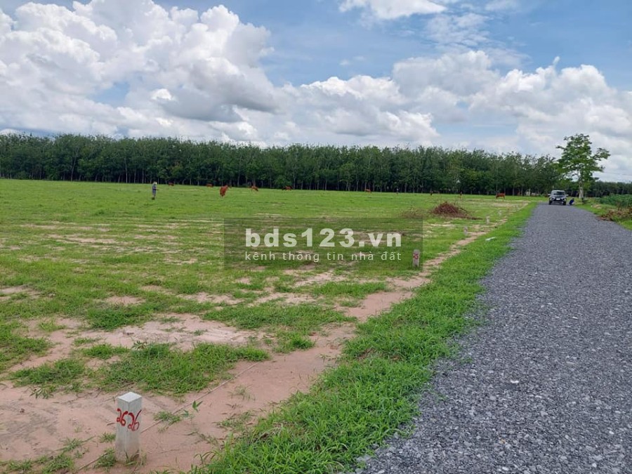 Đất đầu tư gần TP Tây Ninh chỉ 350 triệu diện tích 1000m2 đất, sổ sẵn, hàng sinh lời cao