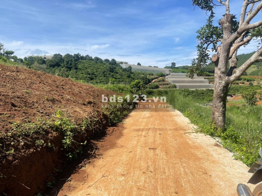 Bán lô đất đẹp diện tích 570m2 view toàn thị trấn Nam Ban, giá bán chỉ 600 triệu lh 0935434534