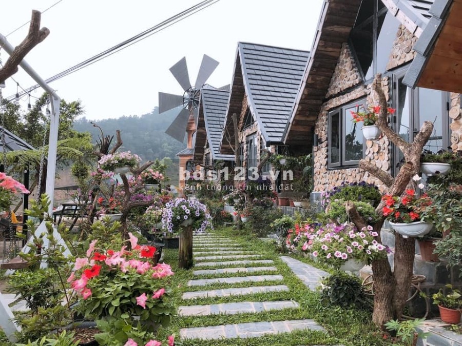 Bán 100m2 đất full thổ cư tại thôn I, trung tâm TT Tam Đảo núi, Tam Đảo, Vĩnh Phúc. Lh: 0988758886