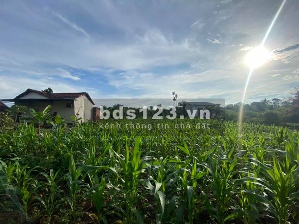 3,6 xào đất View Cánh Đồng ở khối 15, Khánh Xuân, Buôn Mê Thuột, giá bán 2.2 tỷ, lhcc