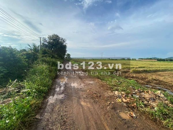 3,6 xào đất View Cánh Đồng ở khối 15, Khánh Xuân, Buôn Mê Thuột, giá bán 2.2 tỷ, lhcc