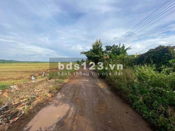 3,6 xào đất View Cánh Đồng ở khối 15, Khánh Xuân, Buôn Mê Thuột, giá bán 2.2 tỷ, lhcc