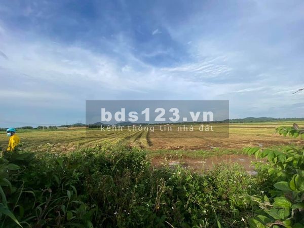 3,6 xào đất View Cánh Đồng ở khối 15, Khánh Xuân, Buôn Mê Thuột, giá bán 2.2 tỷ, lhcc