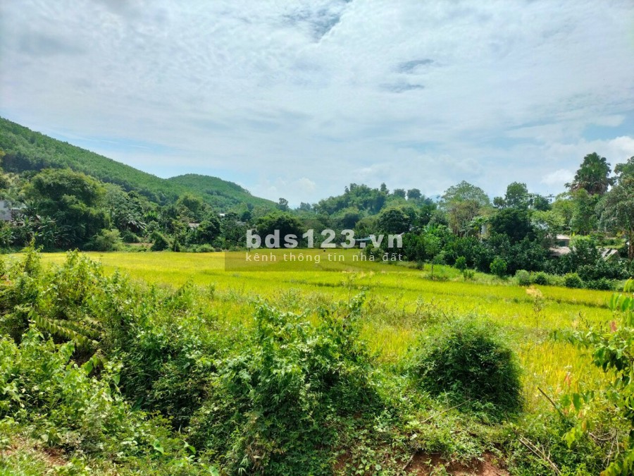 Siêu phẩm diện tích 3300m2 có 600m2 thổ cư tại Mãn Đức-Tân Lạc liên hệ xem đất 0833066663