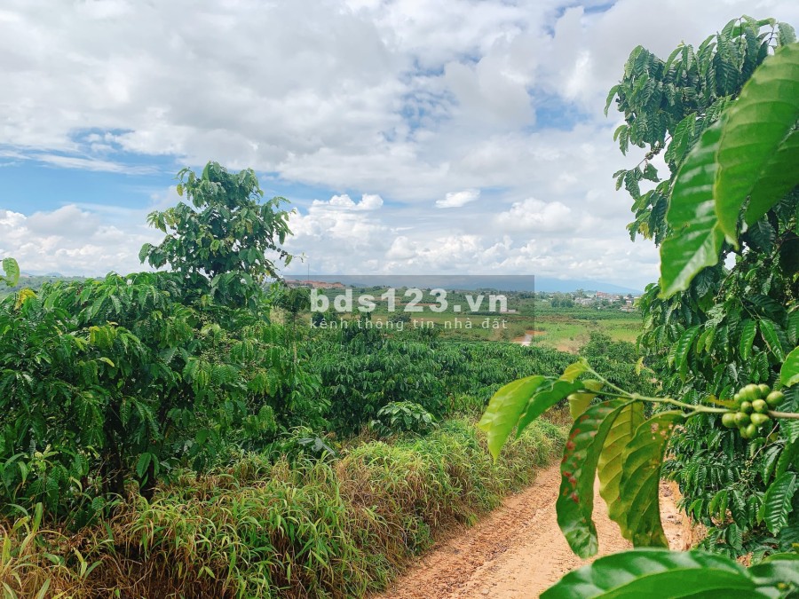 Bán lô đất đẹp diện tích 570m2 view toàn thị trấn Nam Ban, giá bán chỉ 600 triệu lh 0935434534