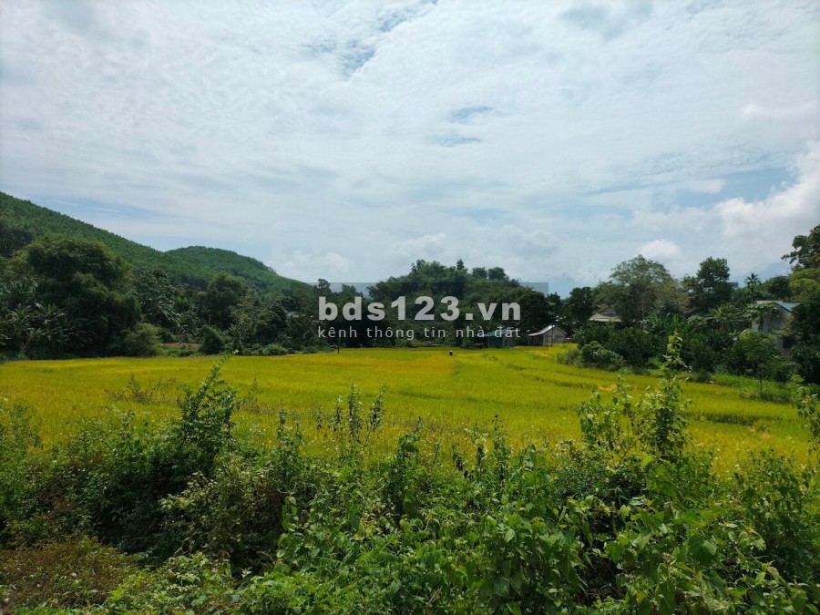 Siêu phẩm diện tích 3300m2 có 600m2 thổ cư tại Mãn Đức-Tân Lạc liên hệ xem đất 0833066663