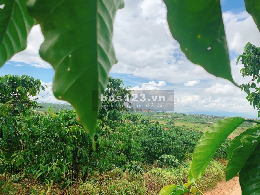 Bán lô đất đẹp diện tích 570m2 view toàn thị trấn Nam Ban, giá bán chỉ 600 triệu lh 0935434534