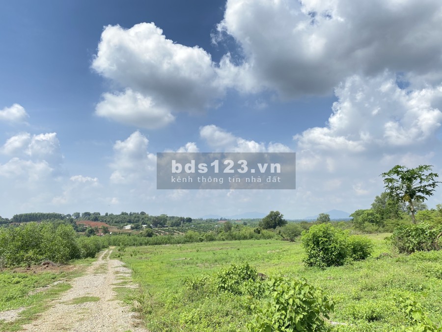 Còn Lô đất Vàng 1100m2 (100 thổ) điểm xuống CAO TỐC, Phước Bình-Long Thành