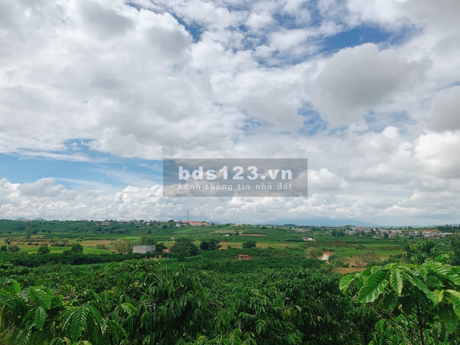 Bán lô đất đẹp diện tích 570m2 view toàn thị trấn Nam Ban, giá bán chỉ 600 triệu lh 0935434534