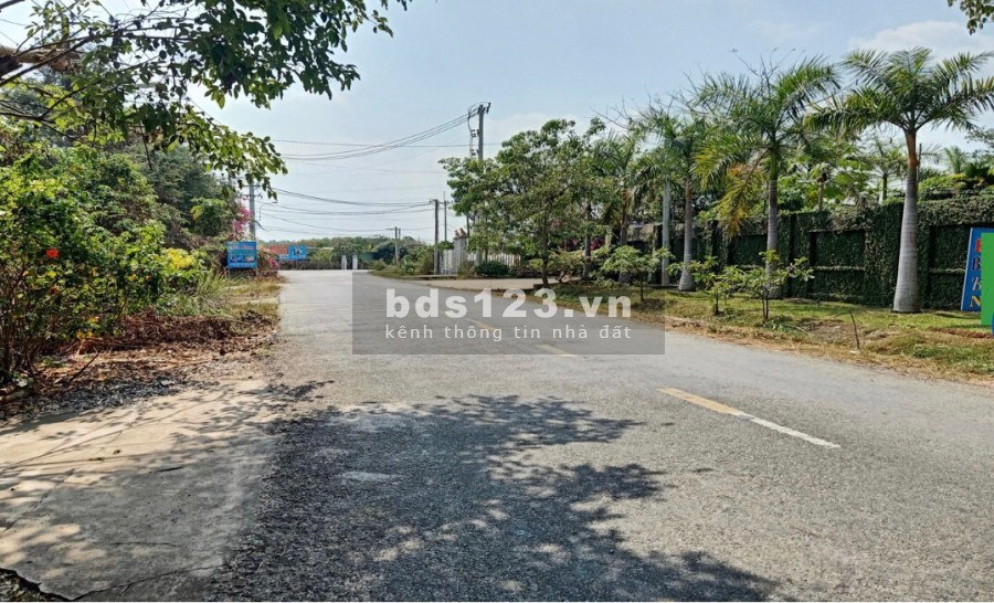 Biệt thự mặt tiền đường Bến Đình xã An Nhơn Tây xác Tỉnh Lộ 7 DT 5000m2 có 3000 thổ cư