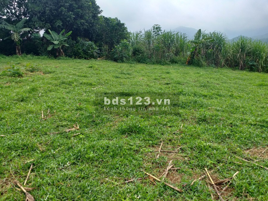 Cần bán mảnh đất đẹp view cánh đồng thoáng mát tại Cao Phong giá thoả thuận, chính chủ