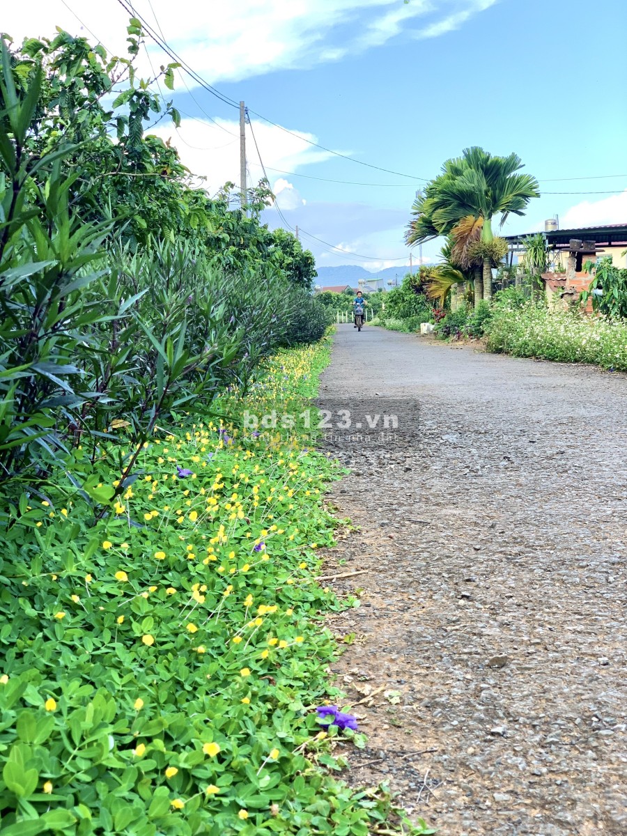 Còn Lô đất Vàng 1100m2 (100 thổ) điểm xuống CAO TỐC, Phước Bình-Long Thành