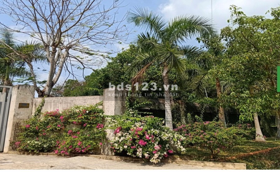 Biệt thự mặt tiền đường Bến Đình xã An Nhơn Tây xác Tỉnh Lộ 7 DT 5000m2 có 3000 thổ cư