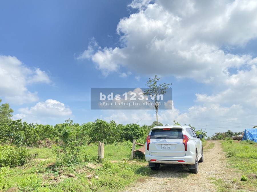 Còn Lô đất Vàng 1100m2 (100 thổ) điểm xuống CAO TỐC, Phước Bình-Long Thành