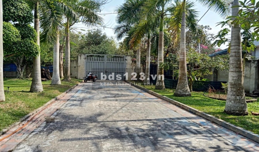 Biệt thự mặt tiền đường Bến Đình xã An Nhơn Tây xác Tỉnh Lộ 7 DT 5000m2 có 3000 thổ cư