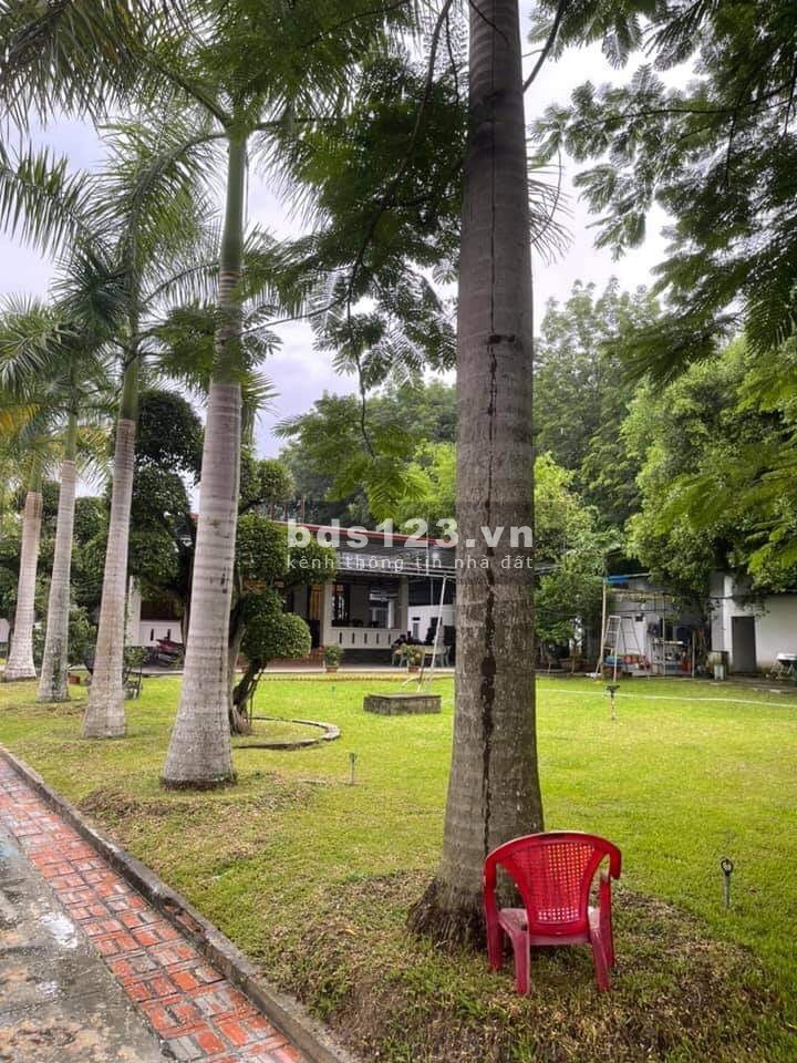 Biệt thự mặt tiền đường Bến Đình xã An Nhơn Tây xác Tỉnh Lộ 7 DT 5000m2 có 3000 thổ cư
