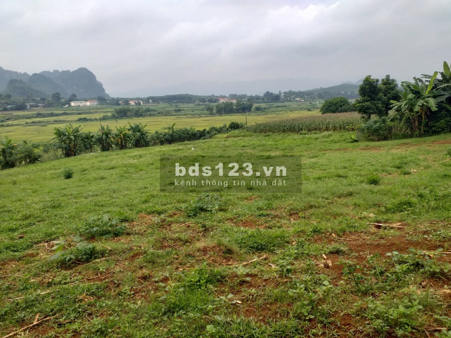 Cần bán mảnh đất đẹp view cánh đồng thoáng mát tại Cao Phong giá thoả thuận, chính chủ
