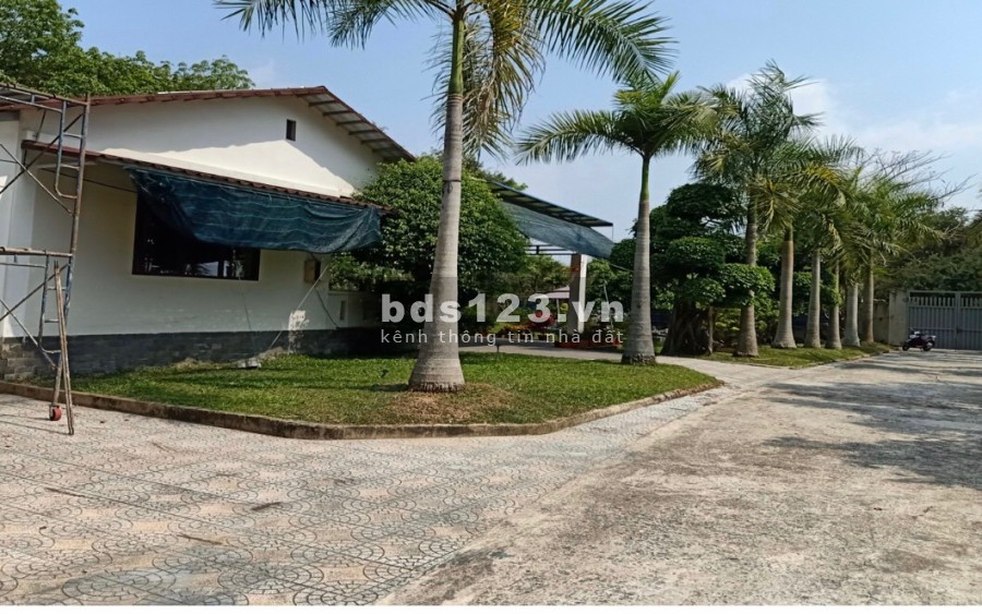 Biệt thự mặt tiền đường Bến Đình xã An Nhơn Tây xác Tỉnh Lộ 7 DT 5000m2 có 3000 thổ cư