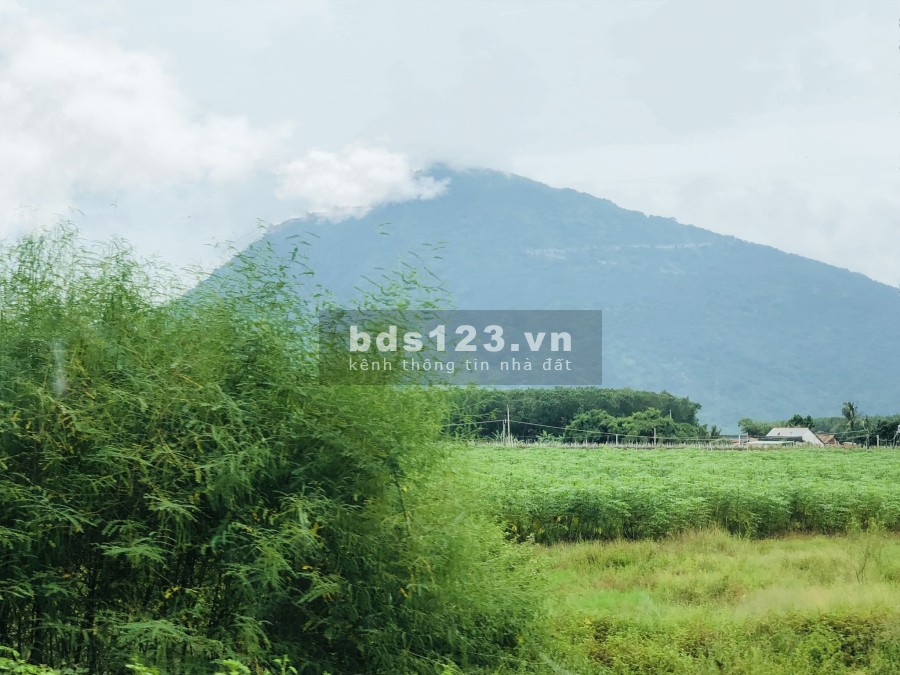 Đất đầu tư gần TP Tây Ninh chỉ 350 triệu diện tích 1000m2 đất, sổ sẵn, hàng sinh lời cao