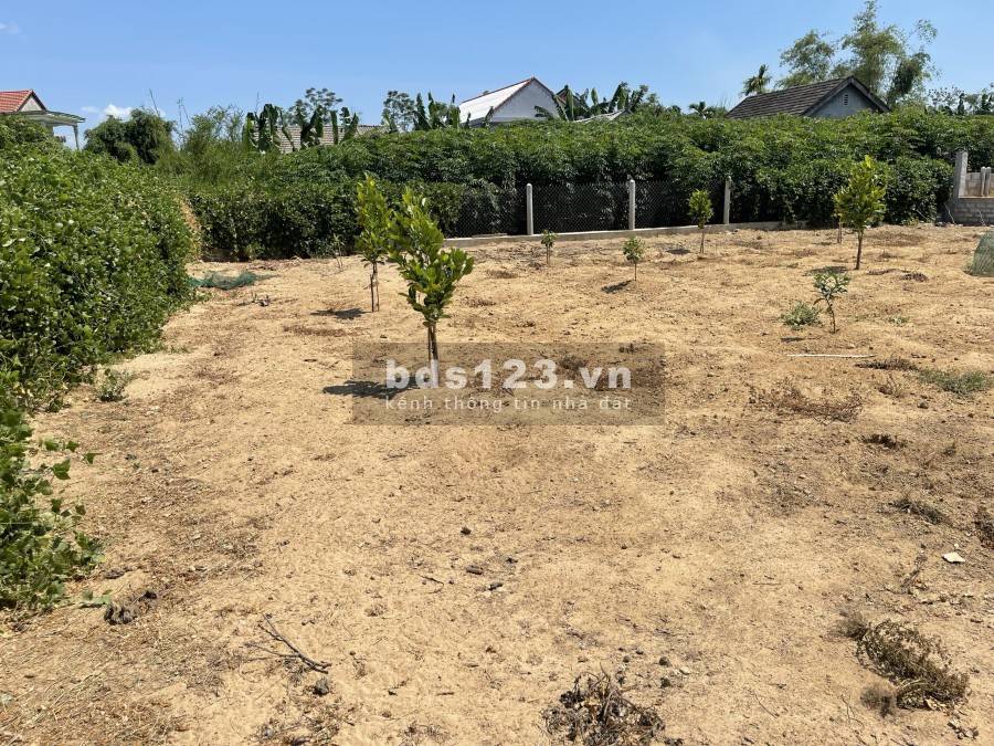 CHỈ CÒN 1 LÔ F0 DUY NHẤT QUẢNG PHÚ, QUẢNG ĐIỀN - CÁCH CẦU TỨ PHÚ CHỈ 2km
