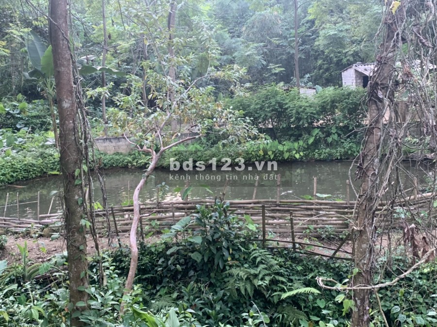 Phú Cương Tân Lac.2844m. điểm đến thiên nhiên
